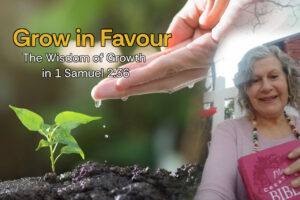 Grow in favour Featured