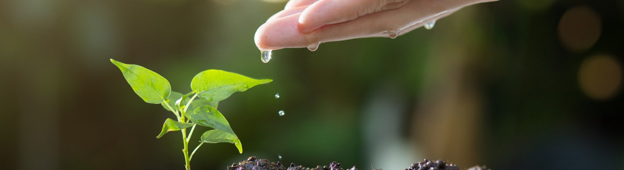 Grow in Favour with God’s Grace 1 Grow in favour Body
